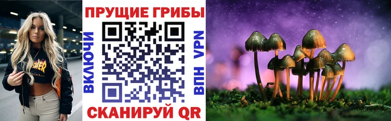 hydra   наркотики  Мосальск  Галлюциногенные грибы прущие грибы 